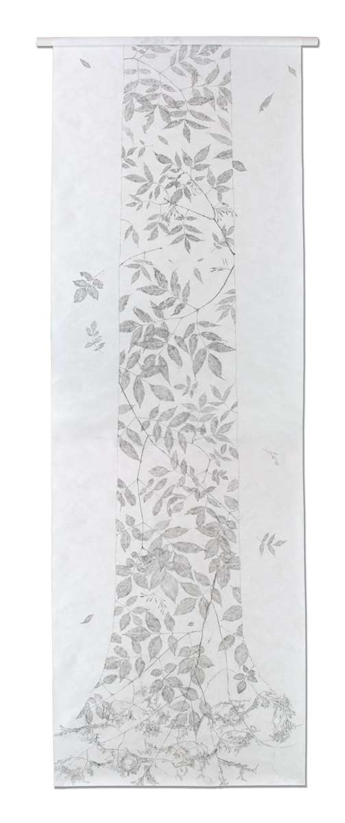 Green Ash, Segoe Road (with roots) by Katherine Steichen Rosing, Image 1.