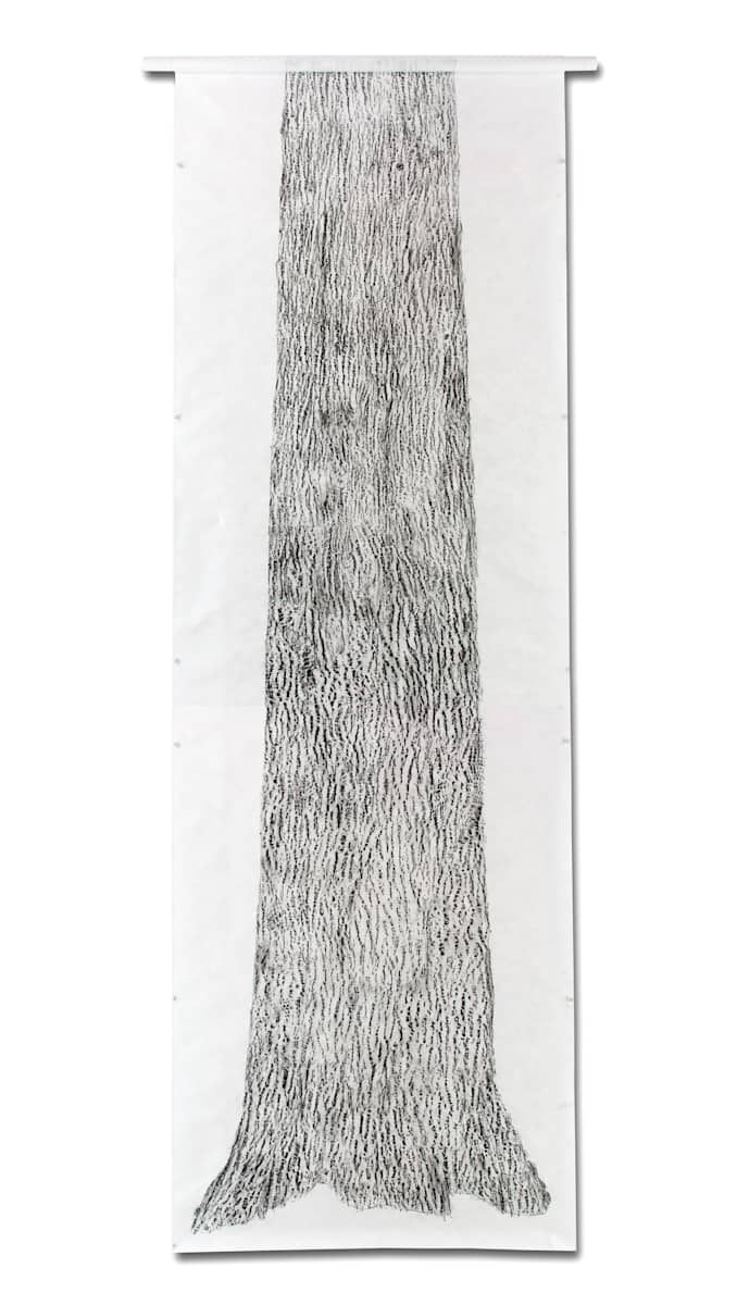 Ash, Bark by Katherine Steichen Rosing, Image 1.