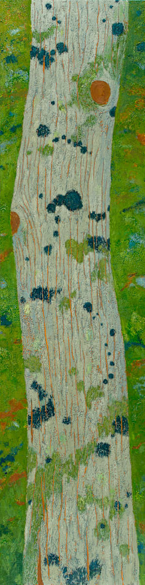 Blue Lichen, Eastern Hemlock by Katherine Steichen Rosing, Image 5.