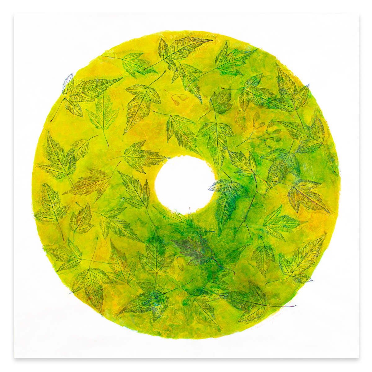 Respirations: Amur Maple by Katherine Steichen Rosing 