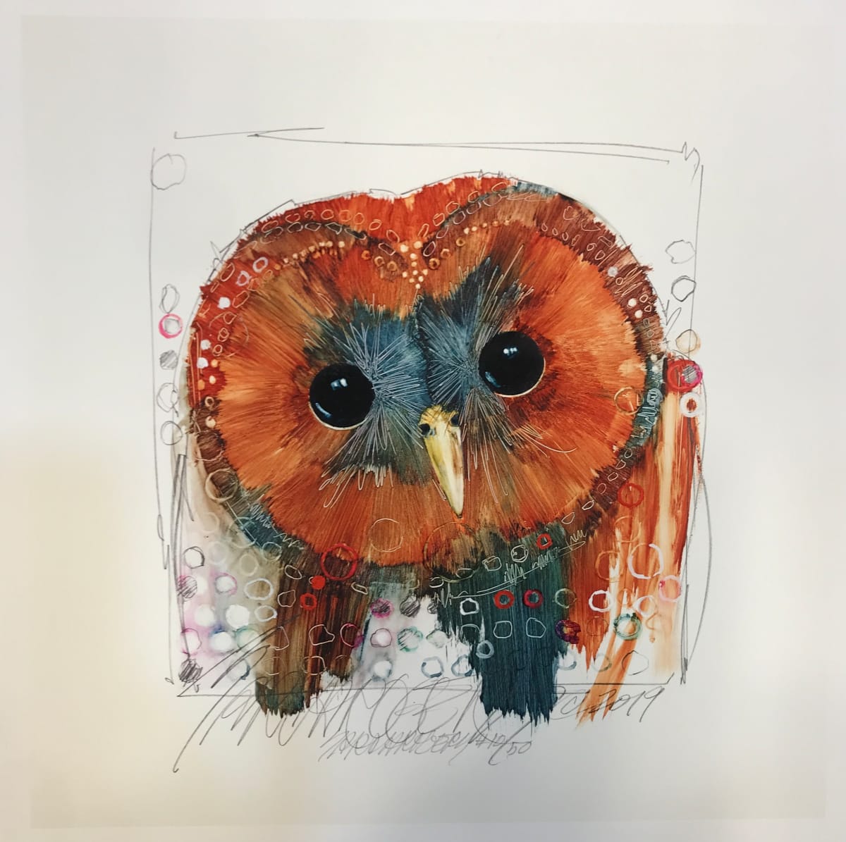 Spotted Owl 10/50 by Sarah Rogers 