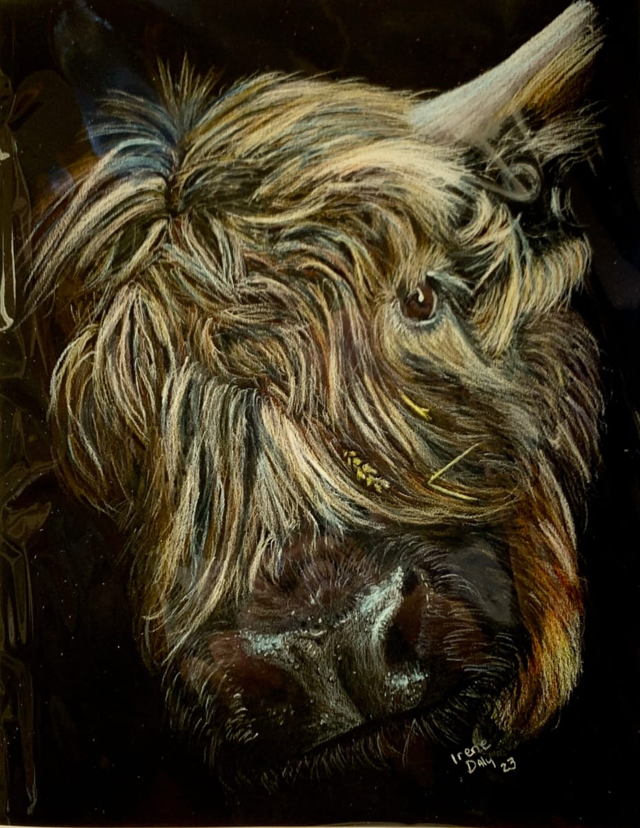 "Brie" by Irene Daly 