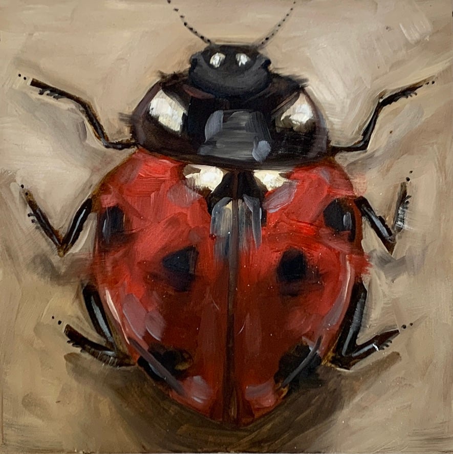 "Lady Bug Study" by Alexandra Hansen 