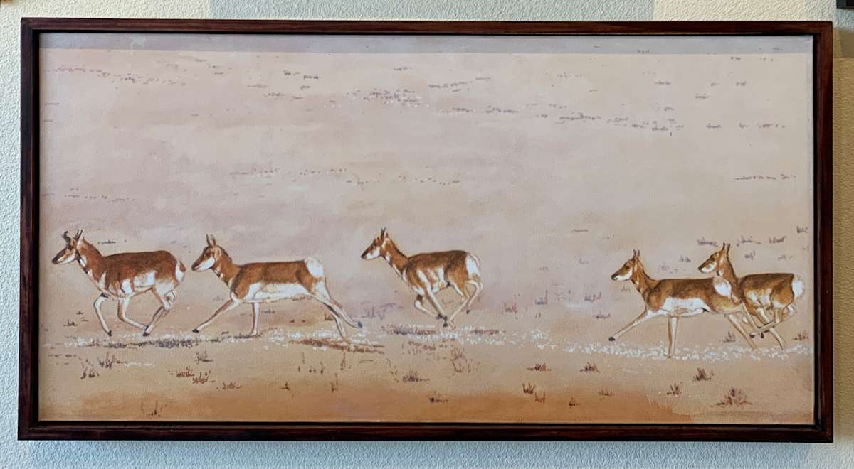 Migration by Mark Paxton, Image 1.