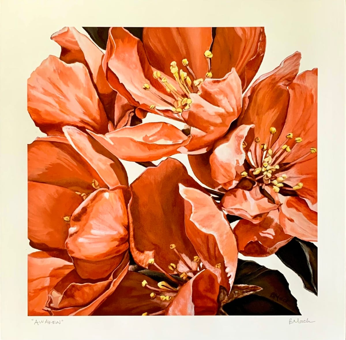 "Awaken" 1 by Brooke Mack 