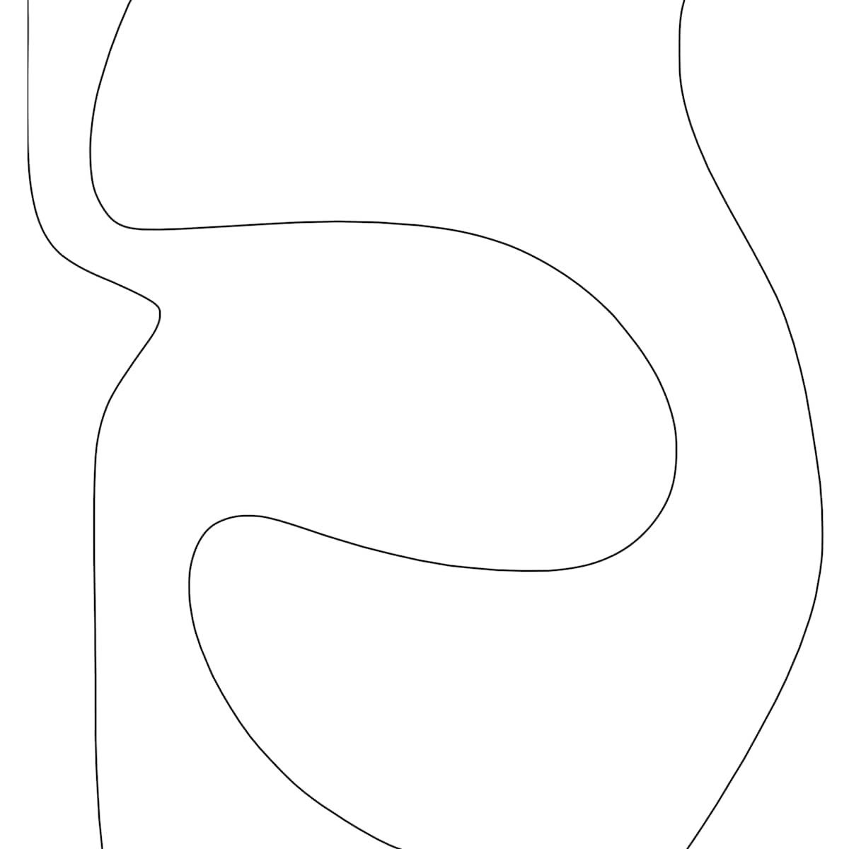 BODY SHAPE by Petronilla Hohenwarter 