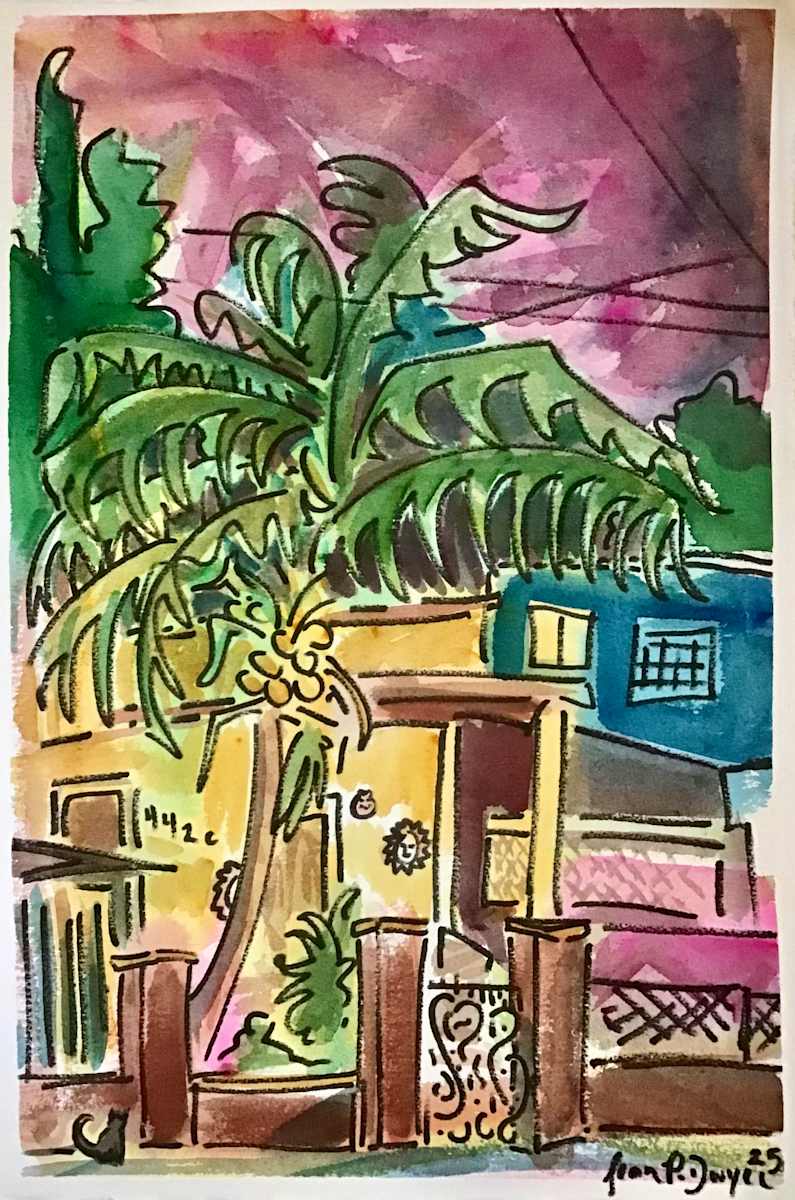Mexican Nocturne by seanpdwyer, Image 10.