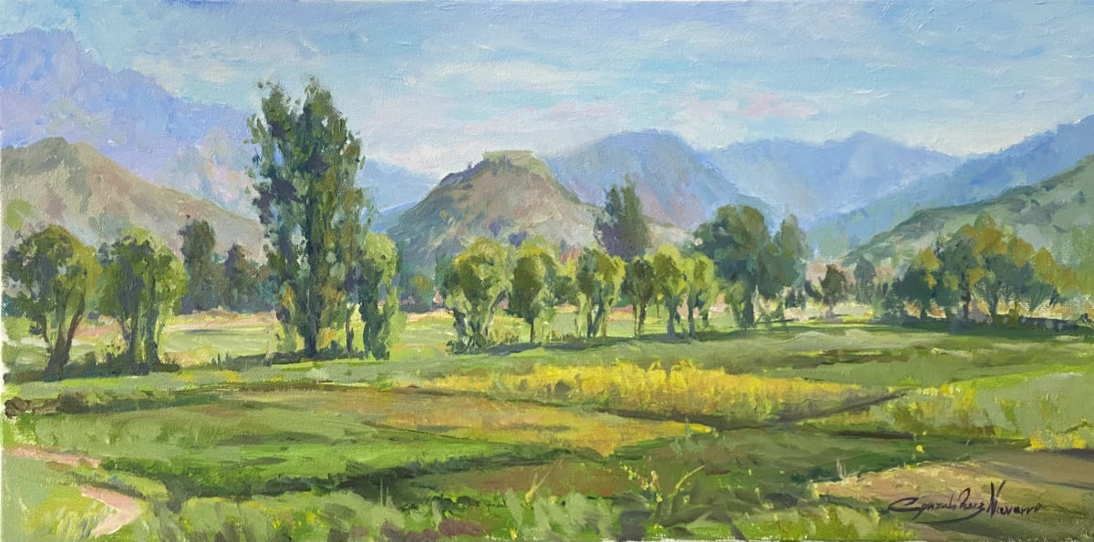 Swat Valley Fields by Gonzalo Ruiz Navarro 