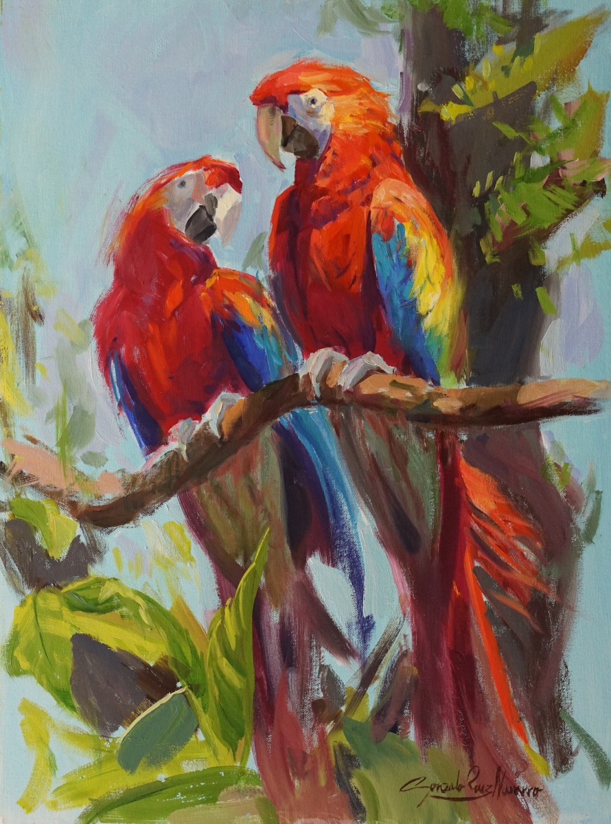 Macaws by Gonzalo Ruiz Navarro 