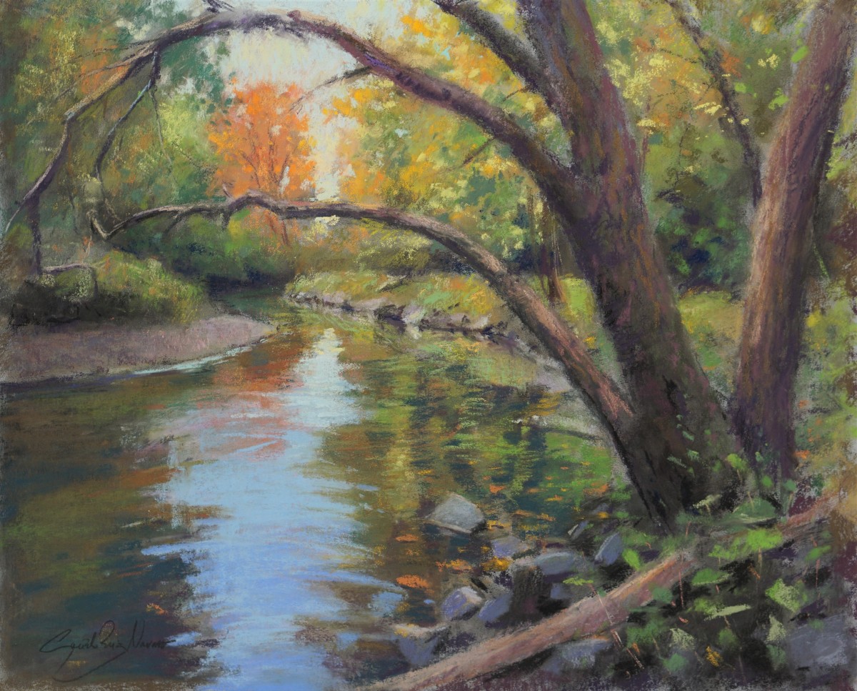 Rock Creek in Fall by Gonzalo Ruiz Navarro 