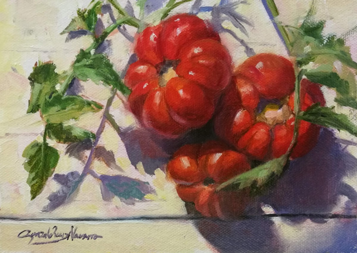 Tomatoes by Gonzalo Ruiz Navarro 