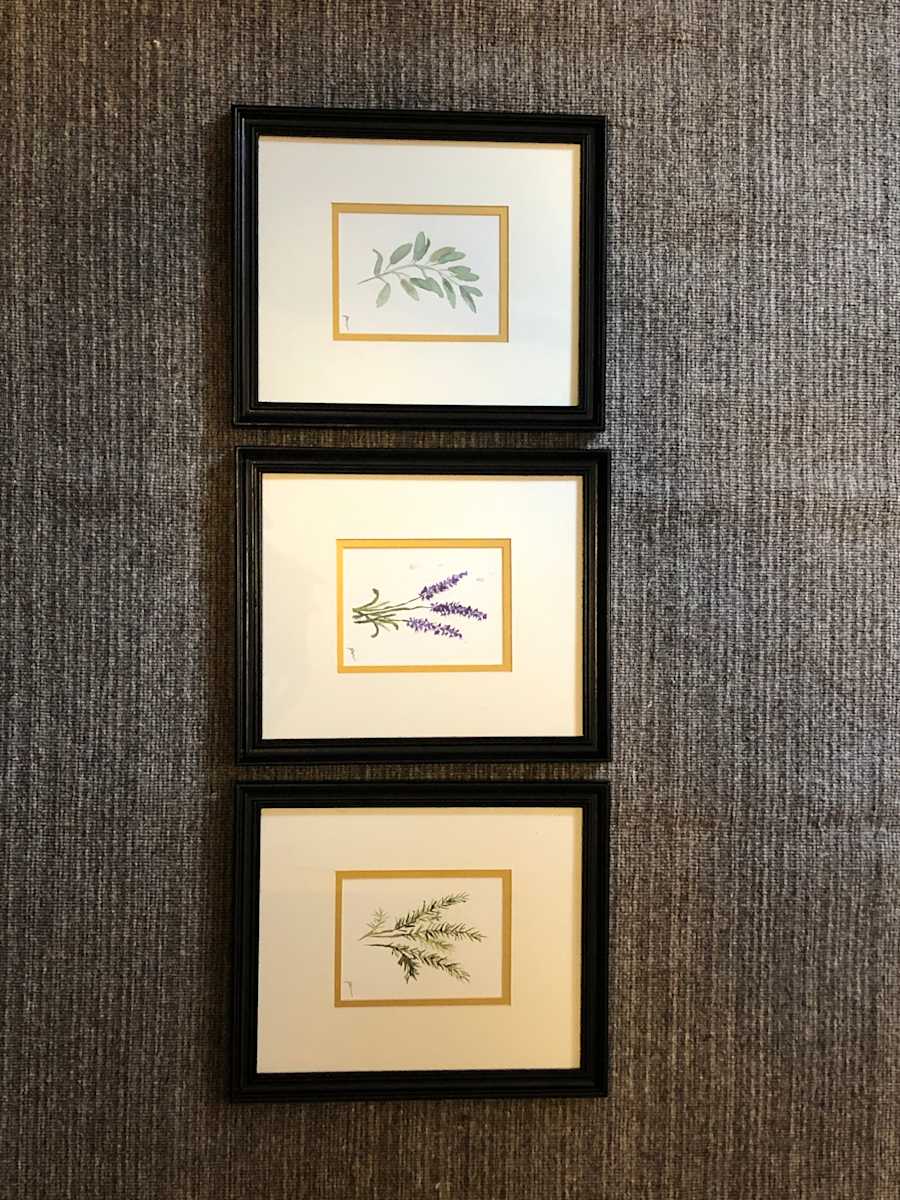 Herbs in a Row (3) by PAULA MOYERS, Image 1.