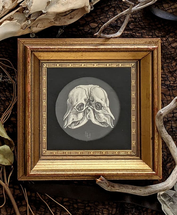 "Two Bodies" - Original Drawing of Conjoined Calf Skulls - Framed Mantle Art by Layil Umbralux  Image: Original Drawing of Conjoined Calf Skulls - Framed Mantle Art
