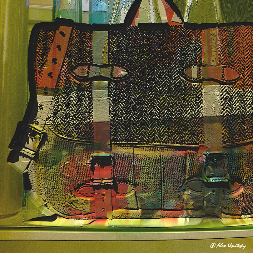 Satchel in the Storefront by Alex Usvitsky 