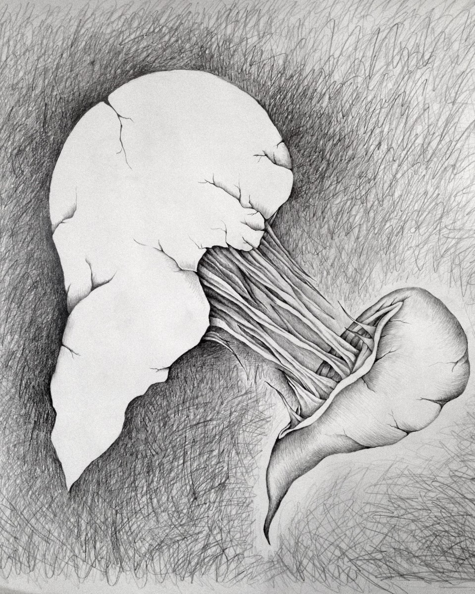 Civil Wars by Karen Ami 