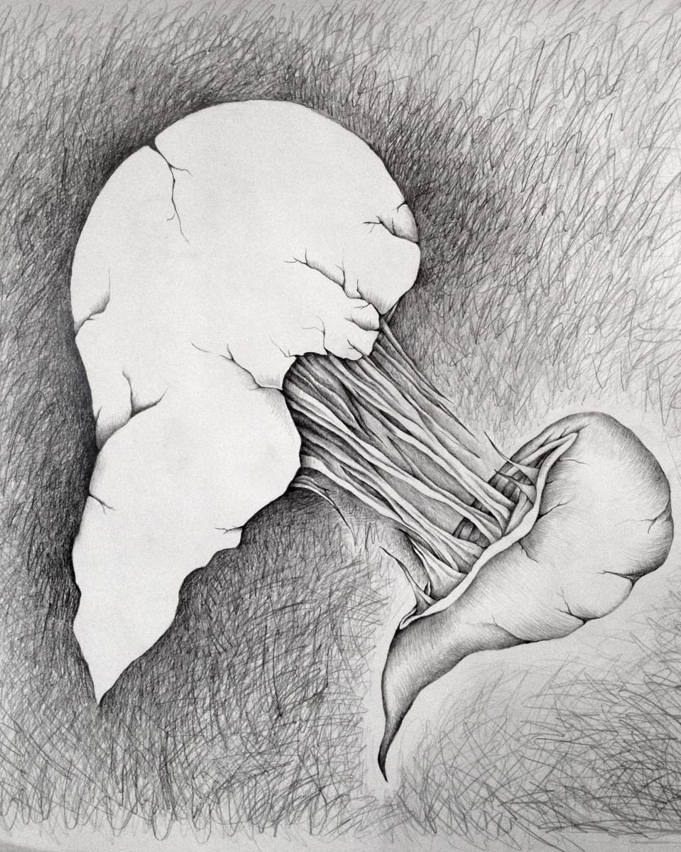 Civil Wars by Karen Ami, Image 1.