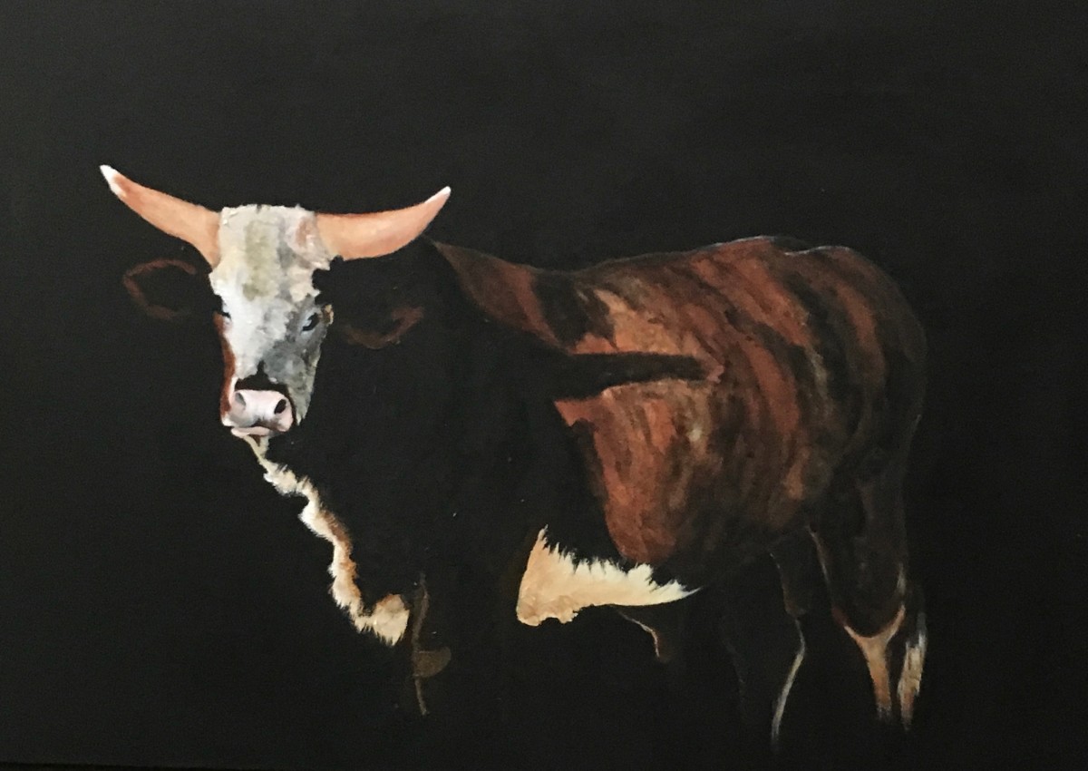 Cattle - Imhoff's Bull by Ann A Blake 
