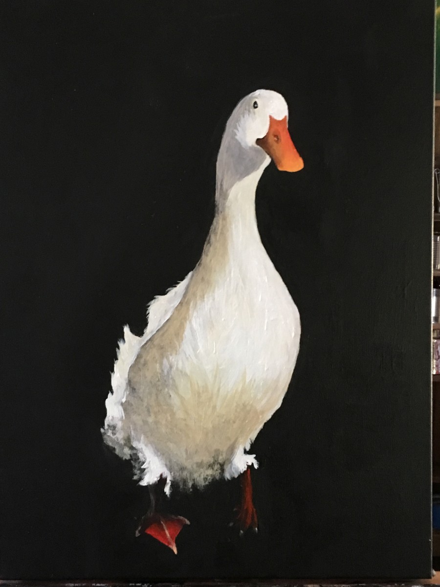 Duck - Duck standing his ground 1 by Ann A Blake 