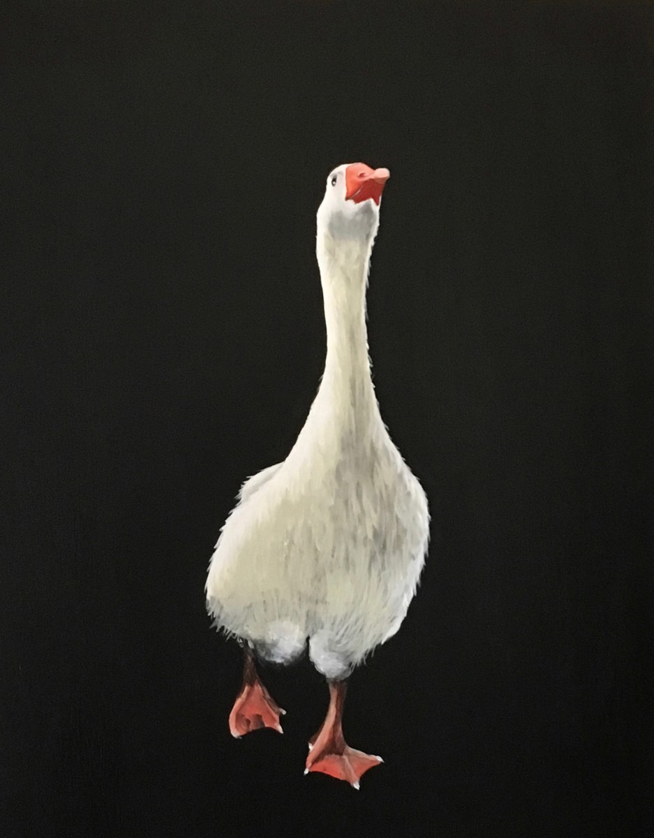 Duck - Donald O'Conner, the tap dancing fool. by Ann A Blake 