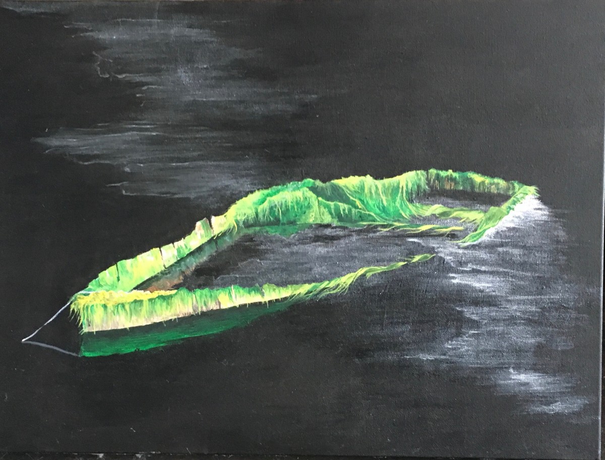 Landscape - After the Hurricane, Brazos River by Ann A Blake 