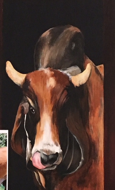 Cattle - Sonny Boy by Ann A Blake 