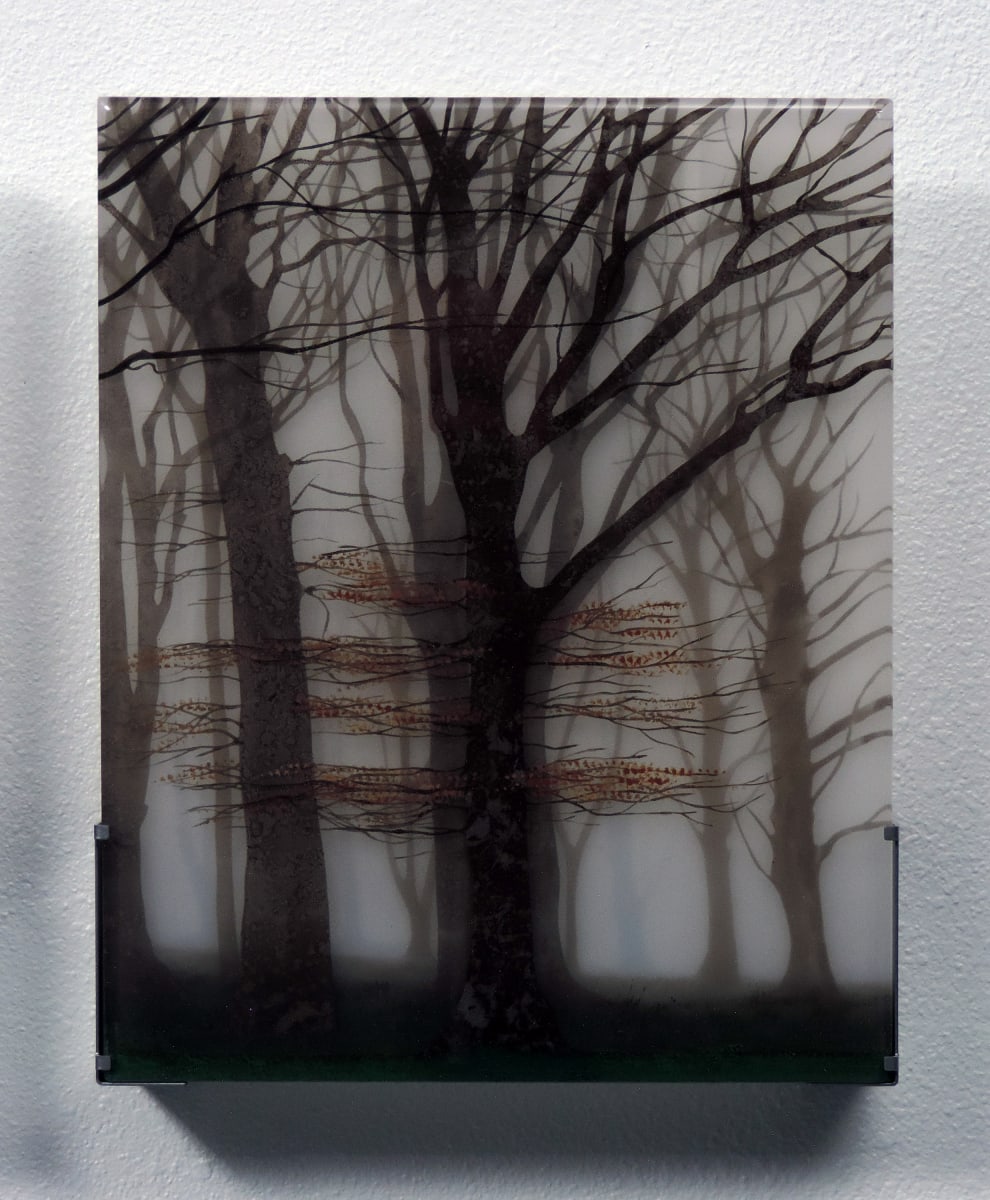 Devon Mist by Paul Messink, Image 1.
