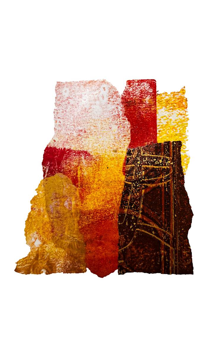 Day 877 — Jul 13, 2026 by Frank den Os, Image 1.