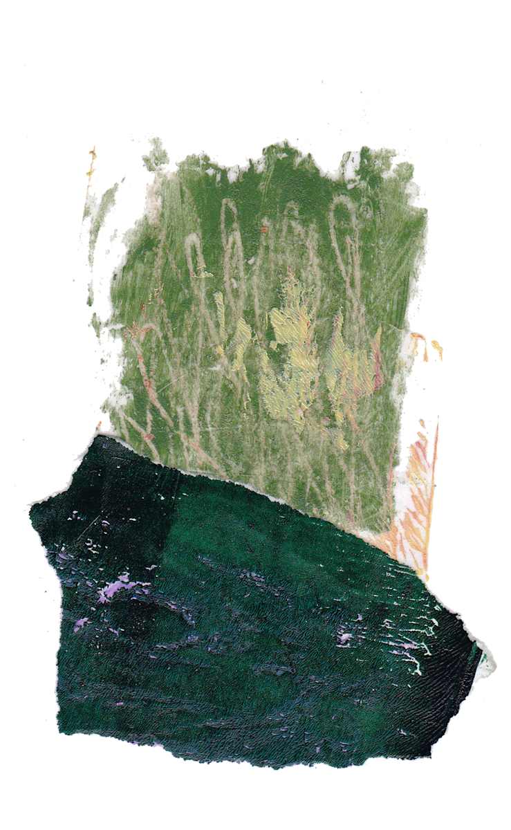 Day 115 — Jun 11, 2024 by Frank den Os, Image 1.