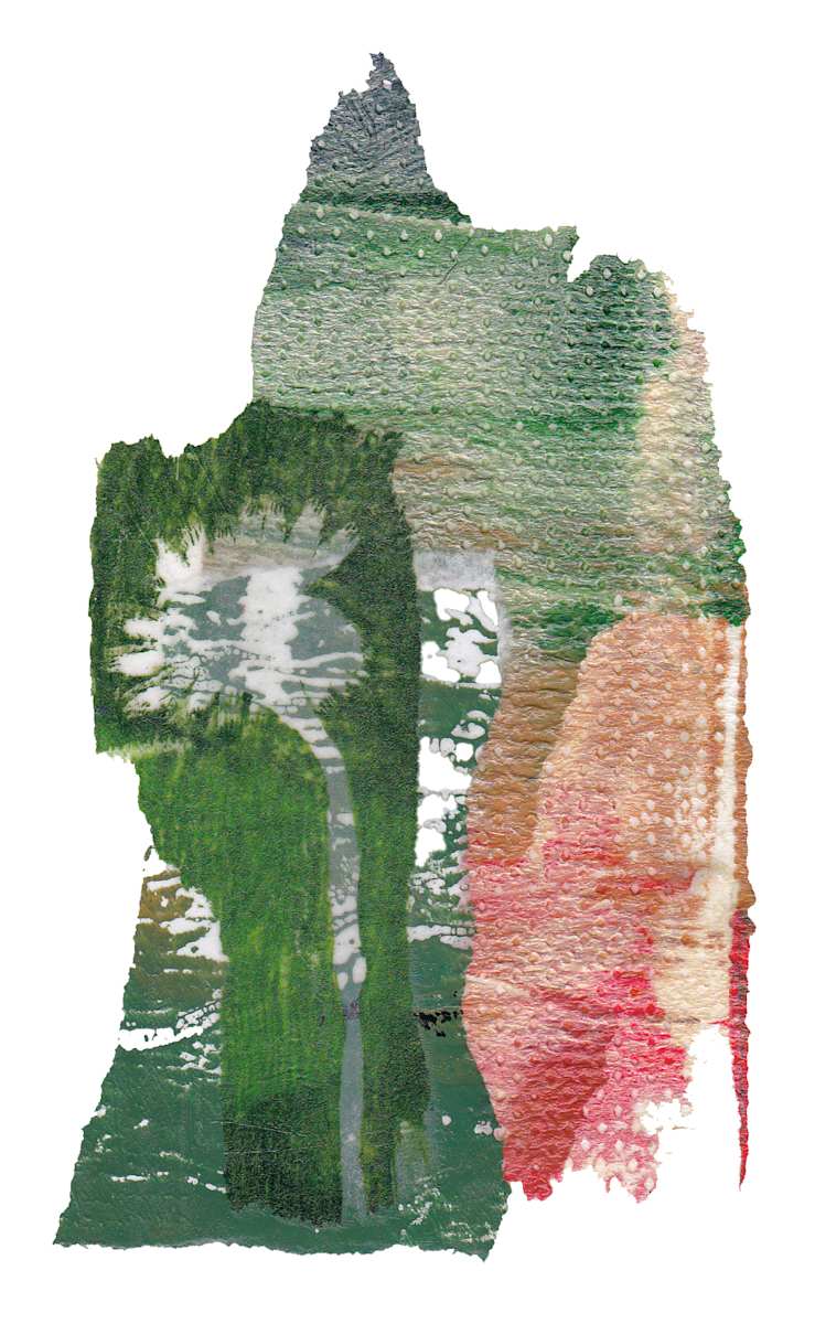 Day 127 — Jun 23, 2024 by Frank den Os, Image 1.