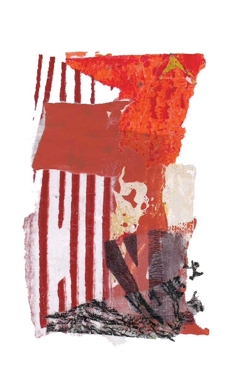 Day 137 — Jul 3, 2024 by Frank den Os, Image 1.