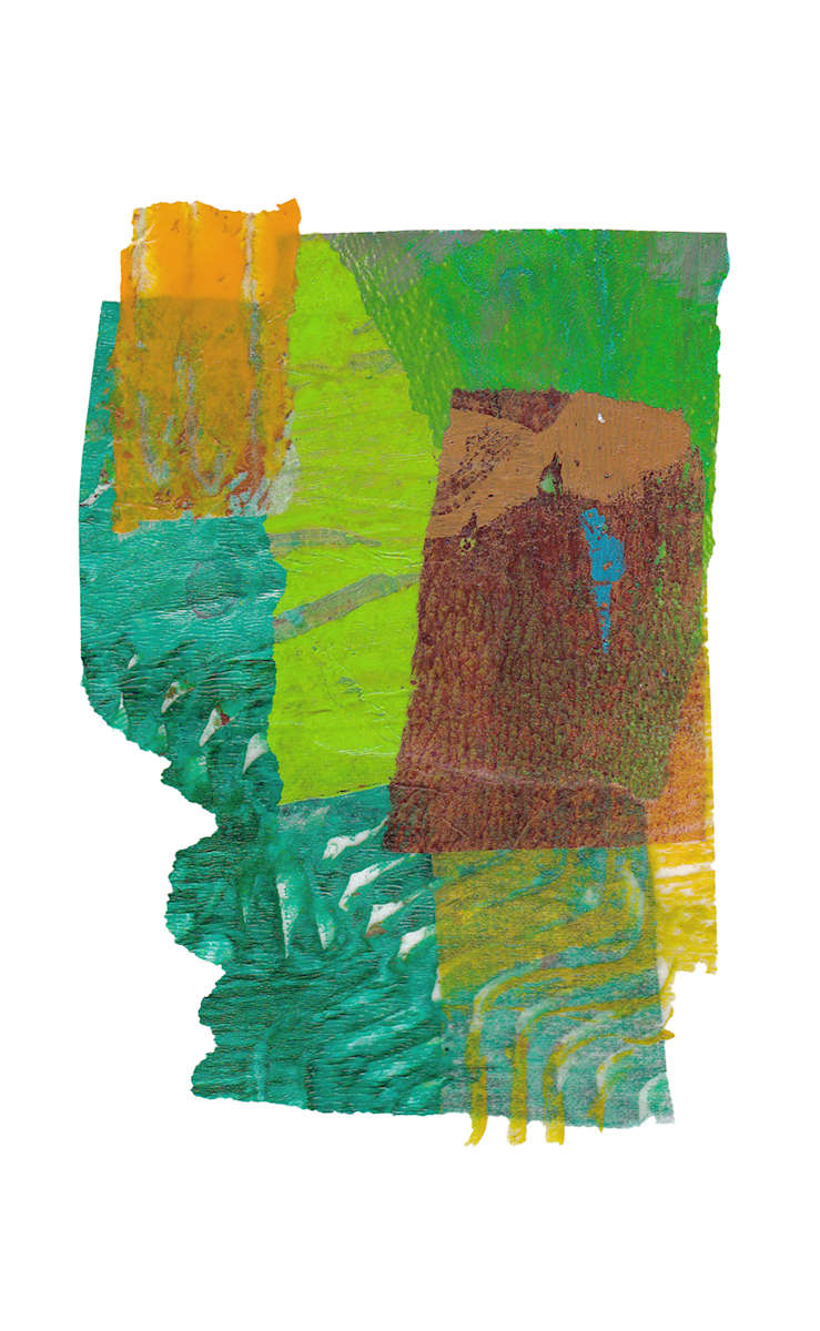 Day 156 — Jul 22, 2024 by Frank den Os, Image 1.