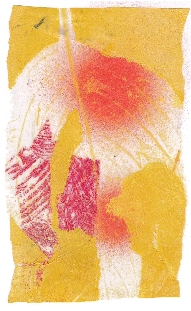 Day 184 — Aug 19, 2024 by Frank den Os, Image 1.