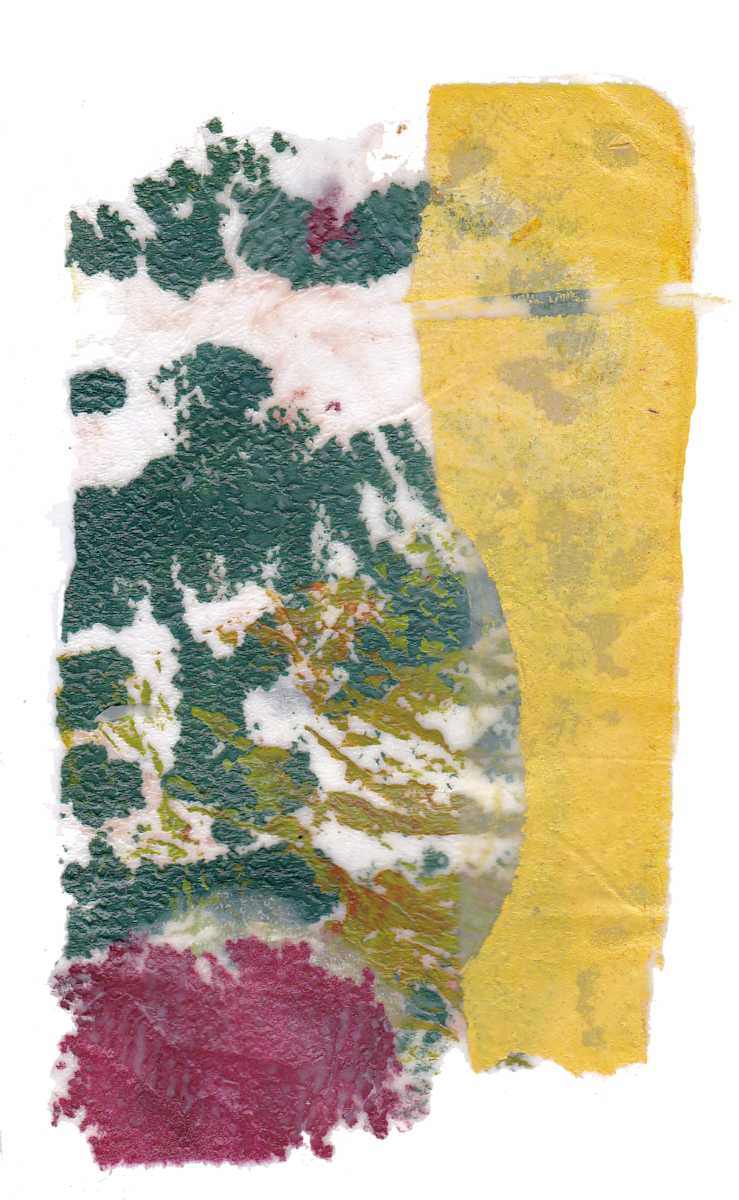 Day 189 — Aug 24, 2024 by Frank den Os, Image 1.