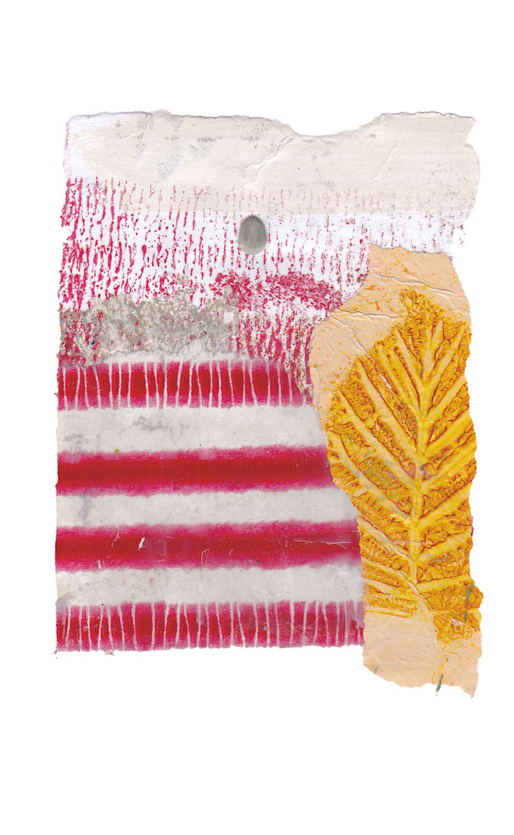 Day 234 — Oct 8, 2024 by Frank den Os, Image 1.