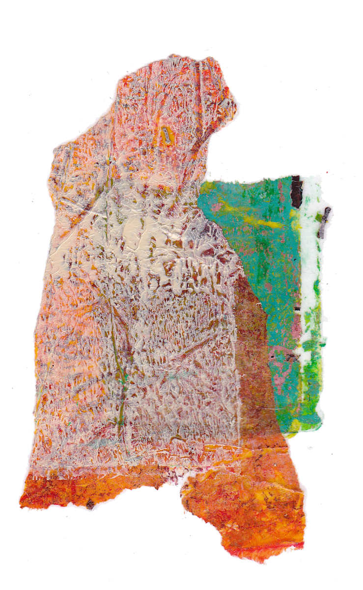 Day 277 — Nov 20, 2024 by Frank den Os, Image 1.