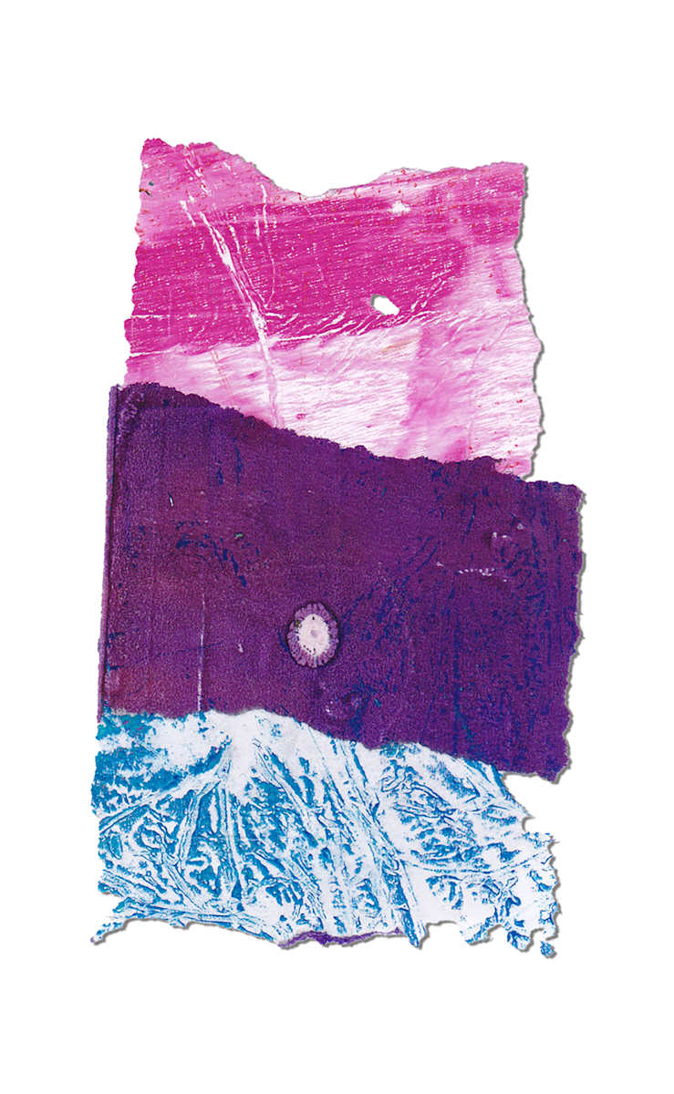 Day 306 — Dec 19, 2024 by Frank den Os, Image 1.