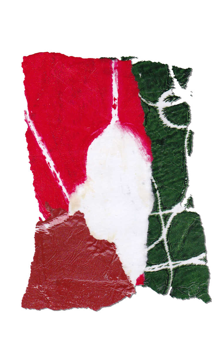 Day 312 — Dec 25, 2024 by Frank den Os, Image 1.