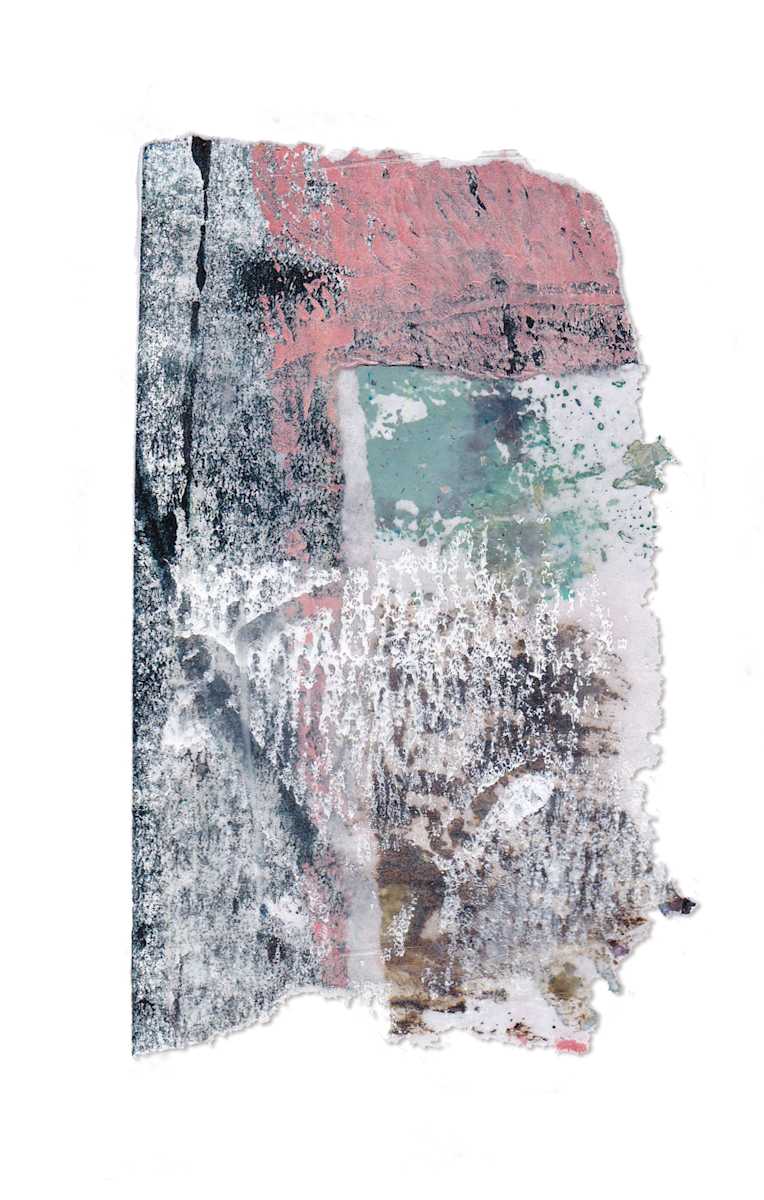 Day 337 — Jan 19, 2025 by Frank den Os, Image 1.