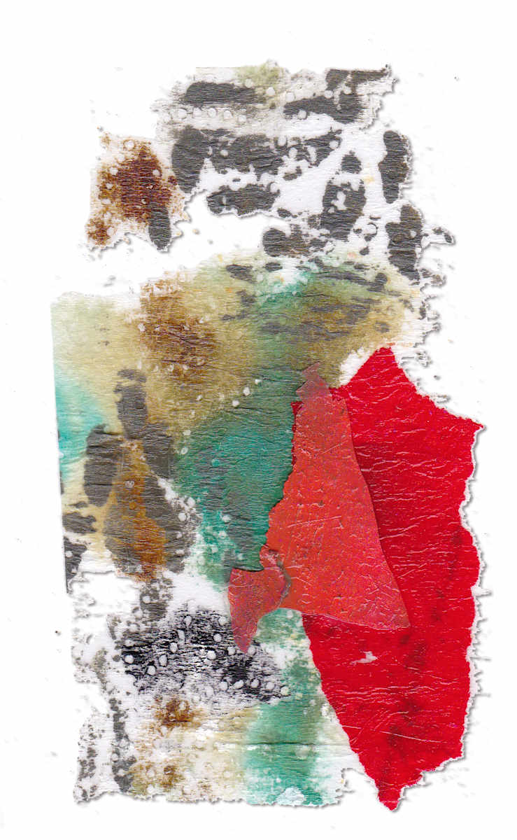 Day 343 — Jan 25, 2025 by Frank den Os, Image 1.