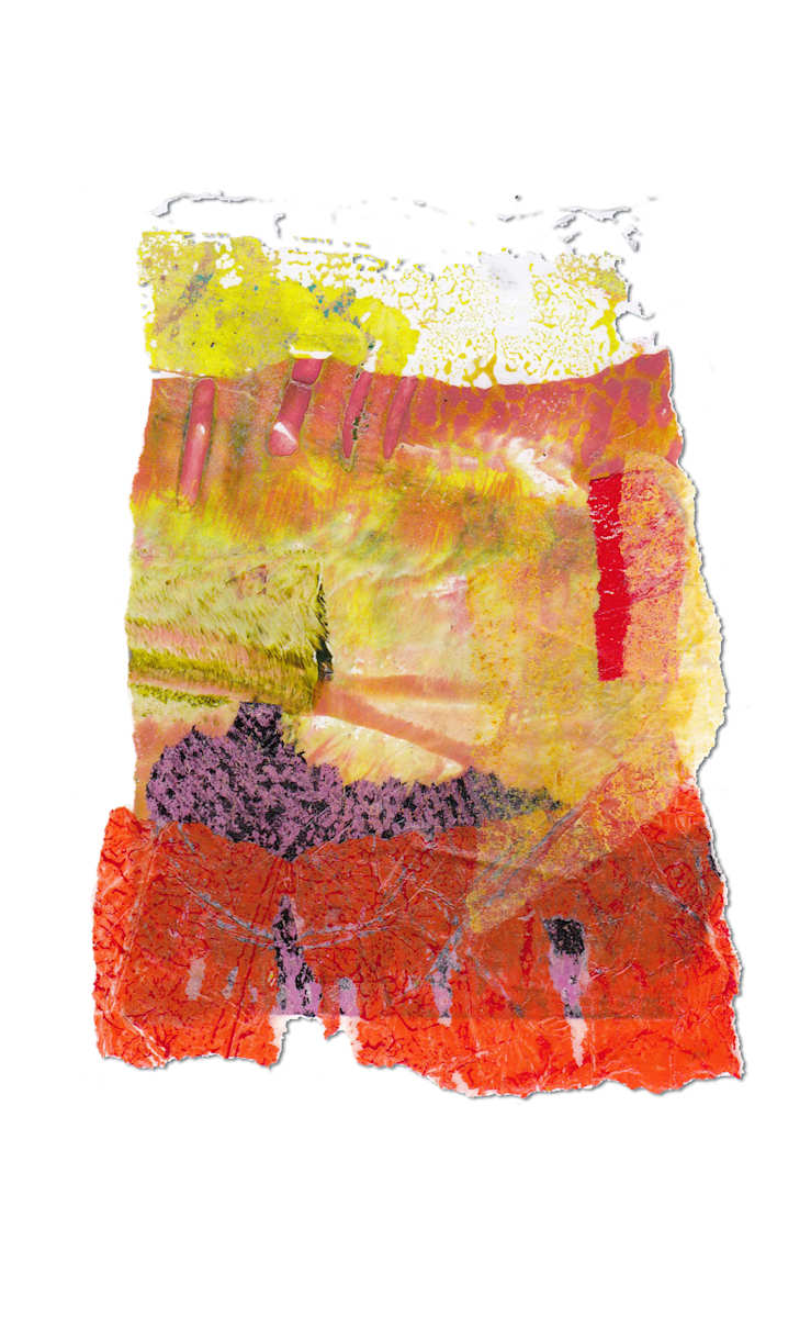 Day 494 — Jun 25, 2025 by Frank den Os, Image 1.