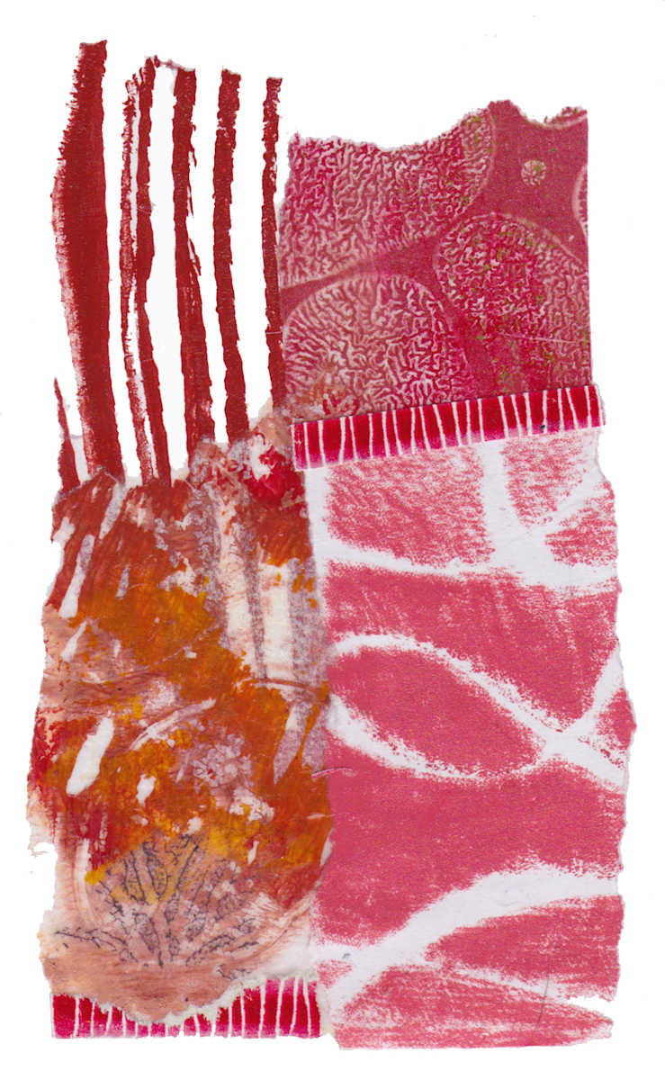Day 57 — Apr 14, 2024 by Frank den Os, Image 1.