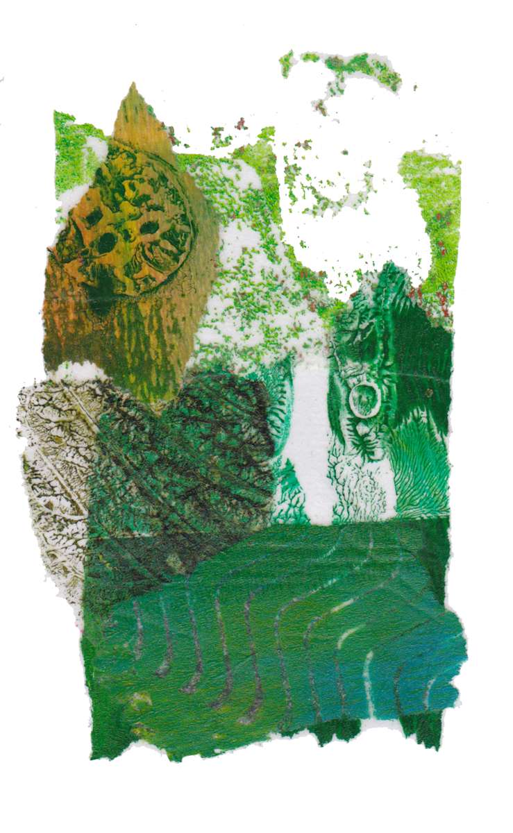 Day 75 — May 2, 2024 by Frank den Os, Image 1.