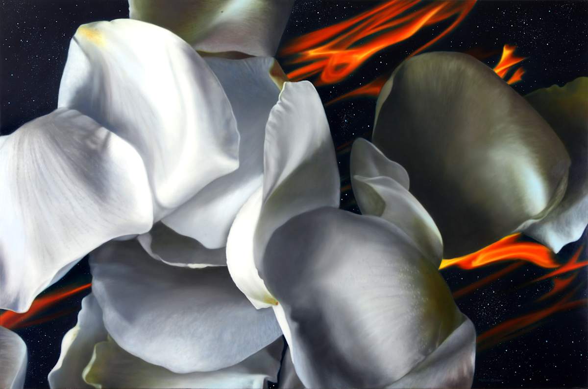 Earth, air and fire with white petals, Print by Marcel Desbiens, Image 1.