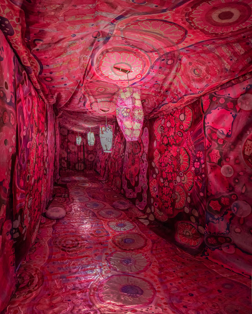 Red Room by Laurie Shapiro, Image 1.