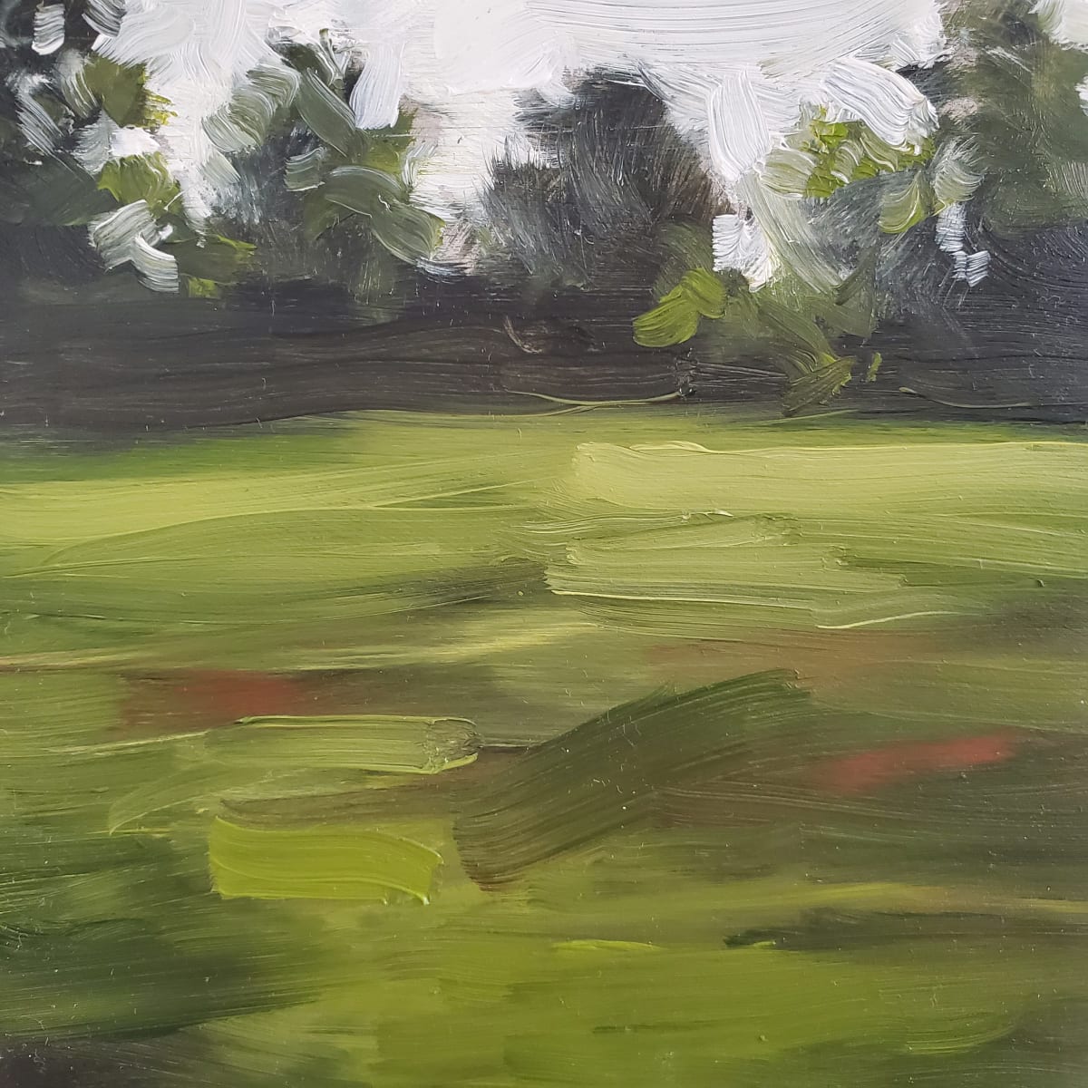 Field in Asheville I by Peter Roux 