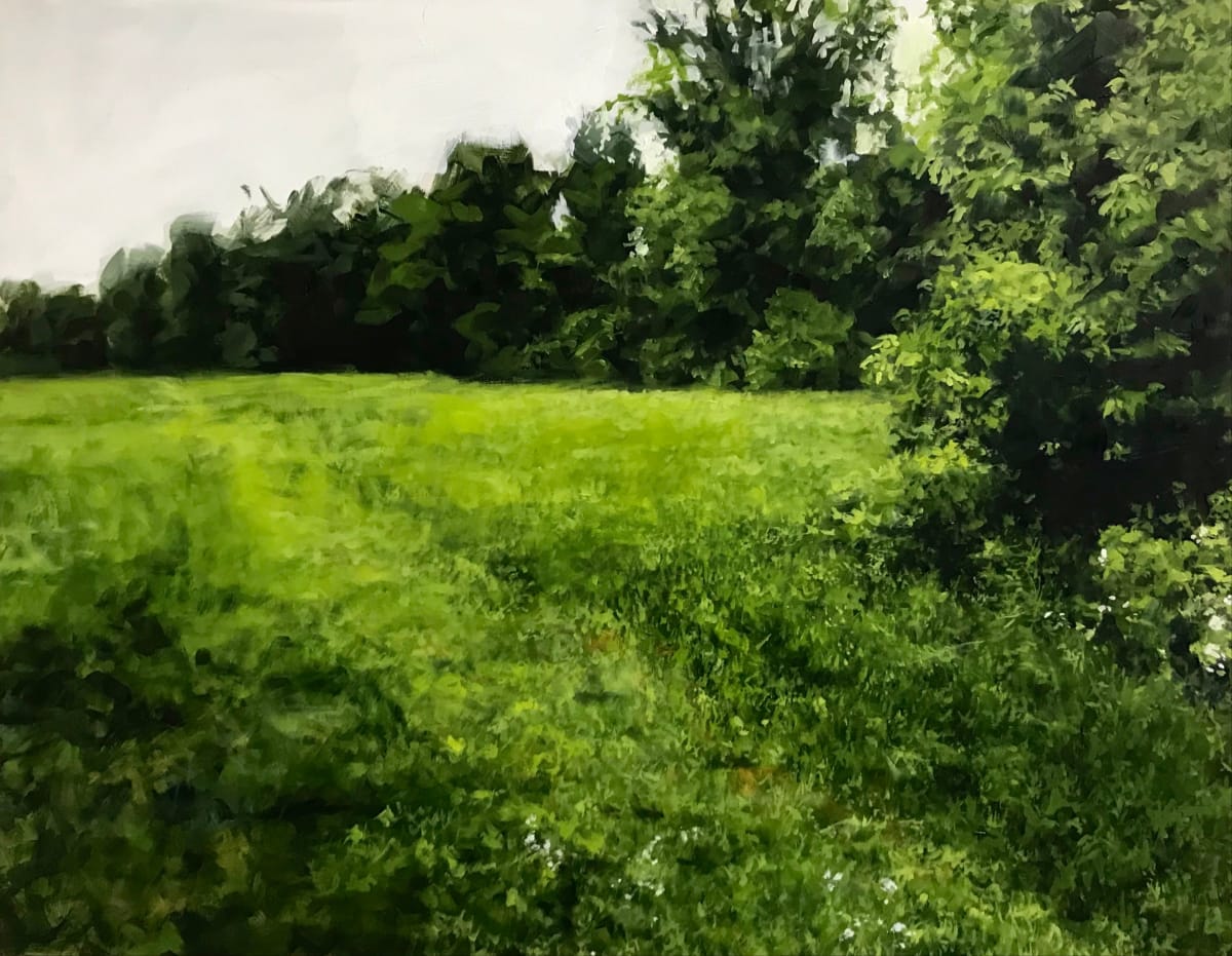 A Field for The Foxes by Peter Roux 