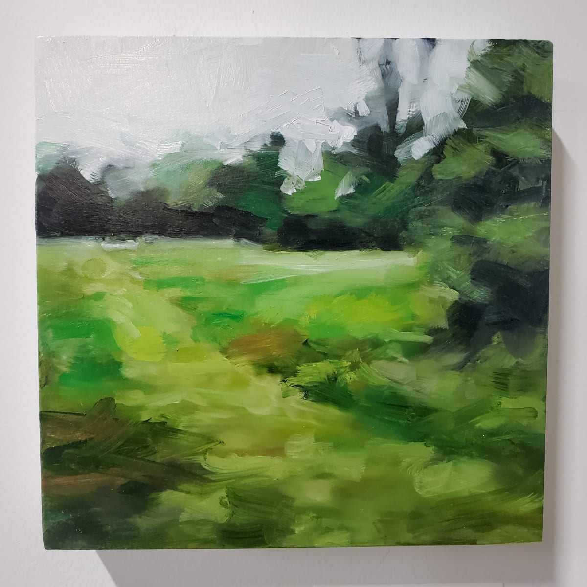 small green field #3 by Peter Roux 