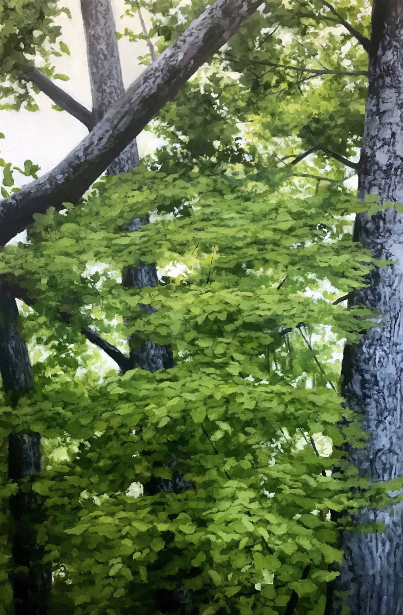 Suspension (deep woods) no.2 by Peter Roux 