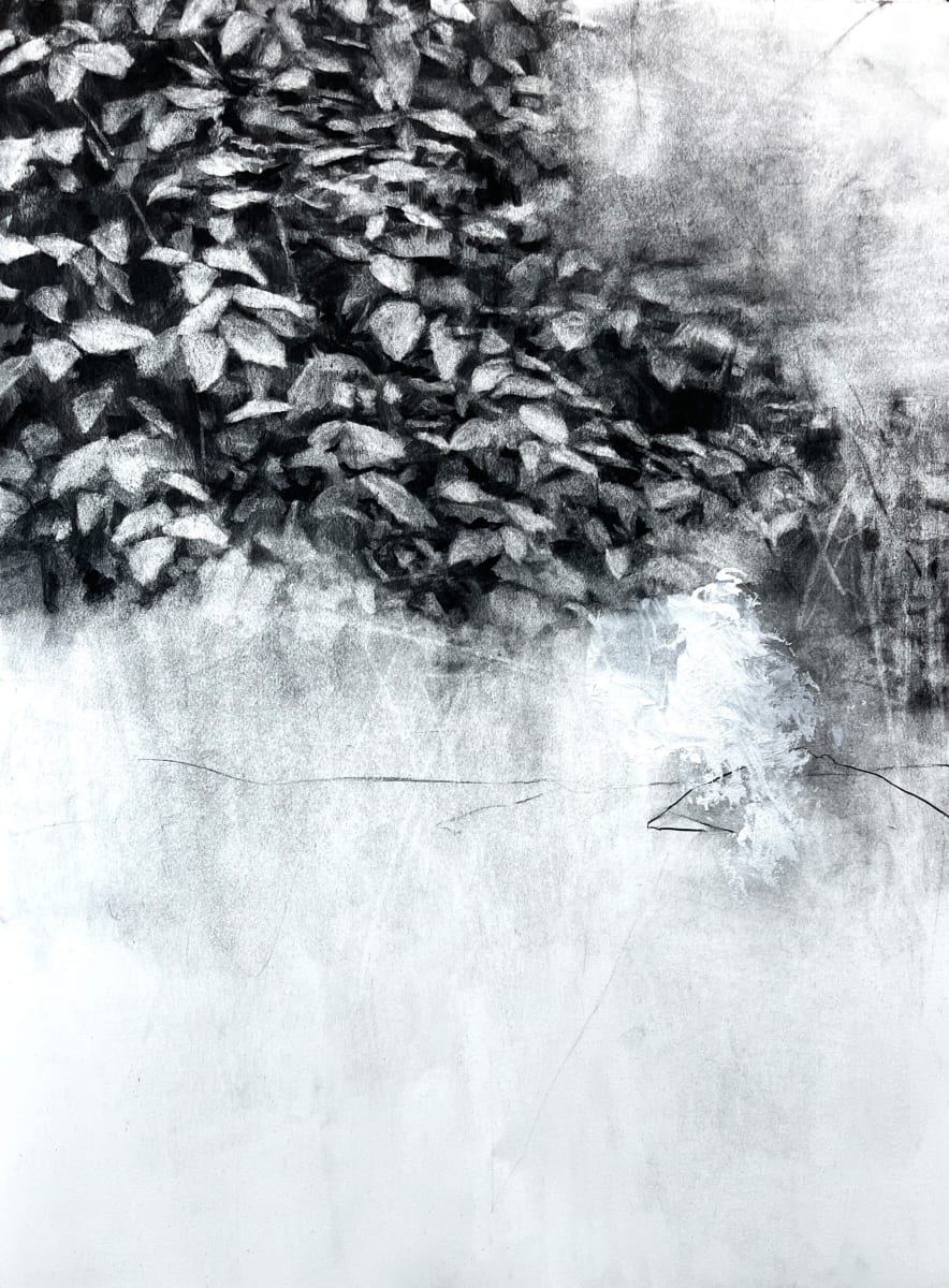 entangled no.2 by Peter Roux, Image 1.