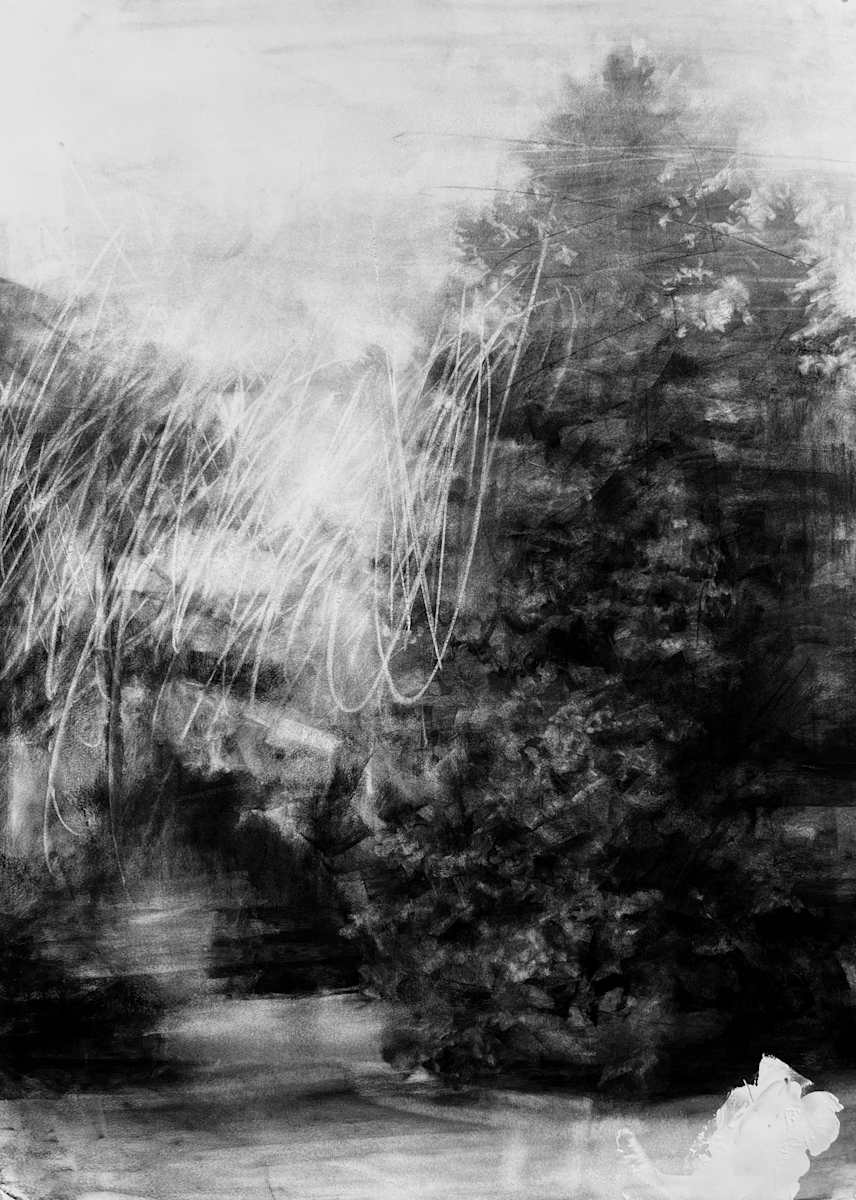 shallow breath by Peter Roux, Image 1.